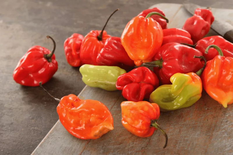 Scotch Bonnet: The Defining Pepper of Jamaican Cuisine