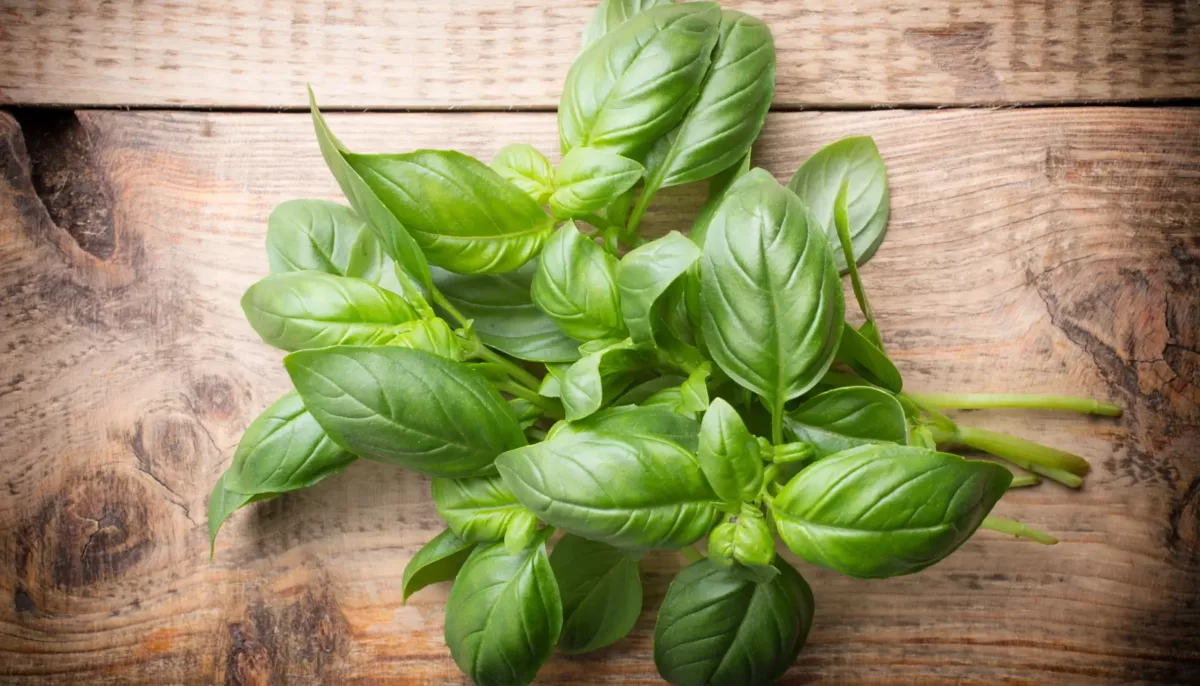 10 Essential Herbs and Spices for Elevating Your Vegan Cooking