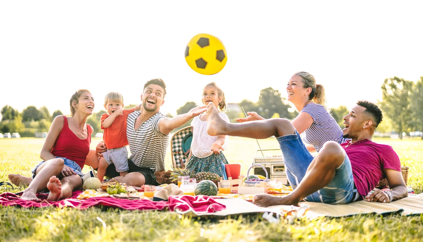 Picnic Perfections: Social and Romantic Outdoor Gathering